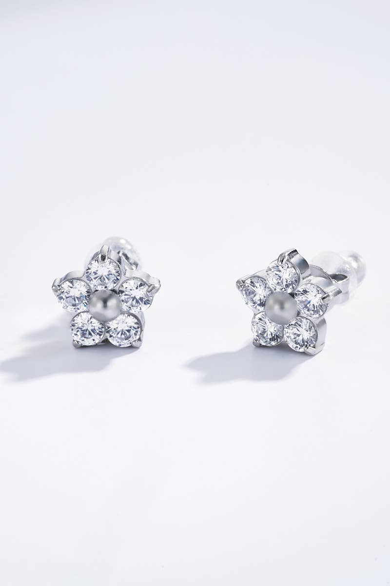 Stainless steel earrings: Silver
