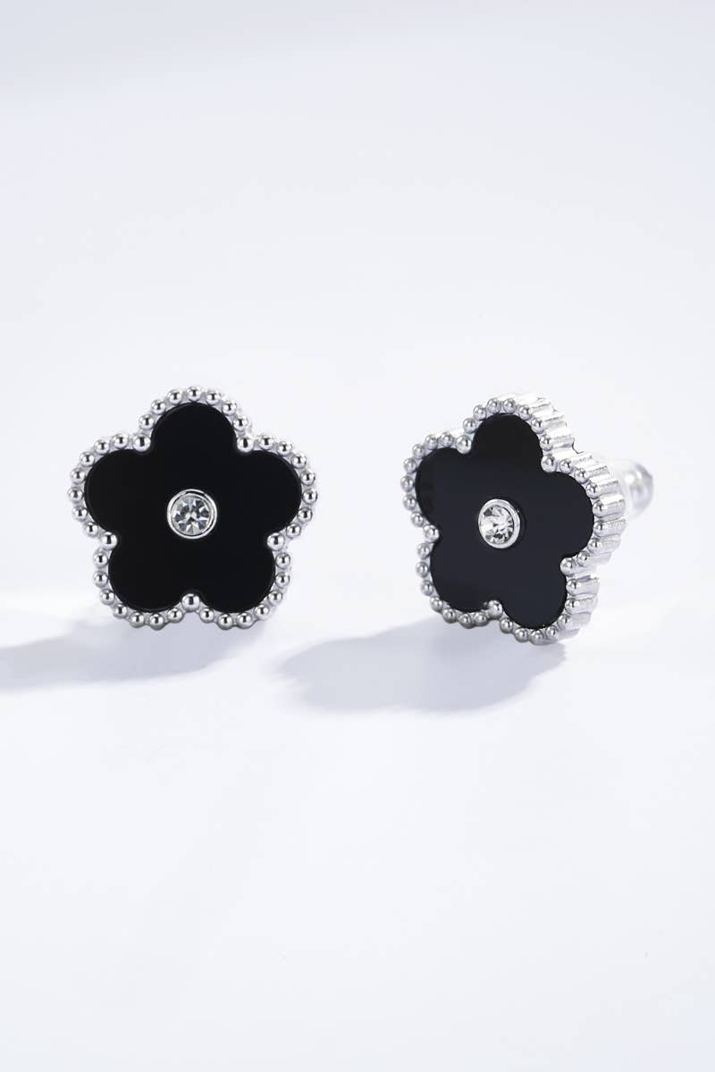 Stainless steel earrings: Silver
