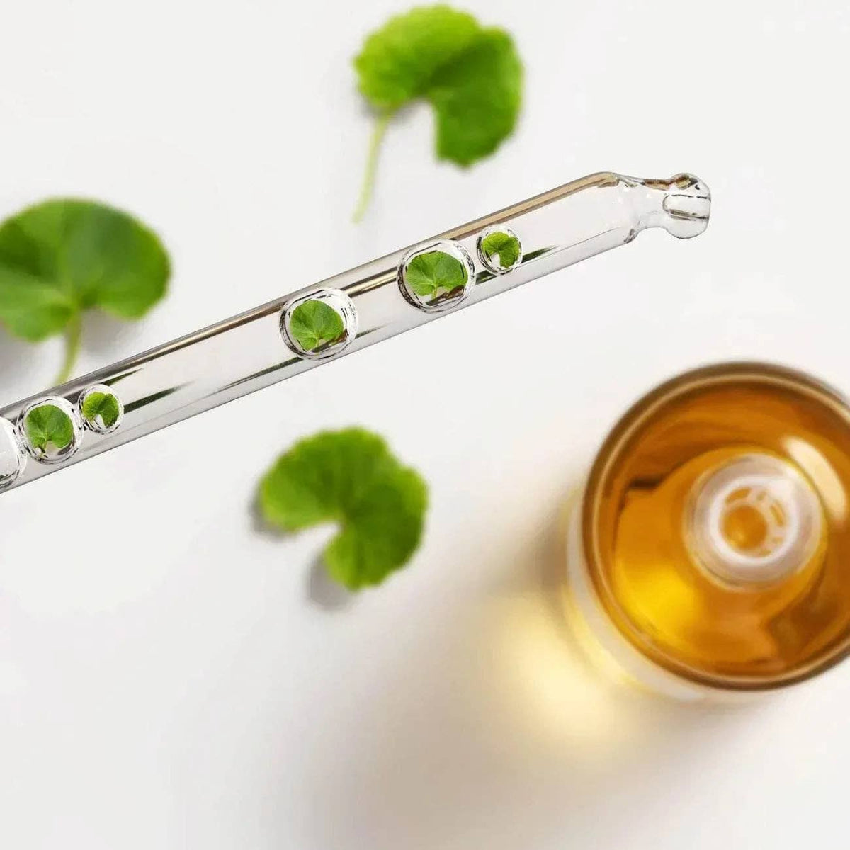 SKIN1004 - Madagascar Centella Asiatica 100 Ampoule: 100 ml