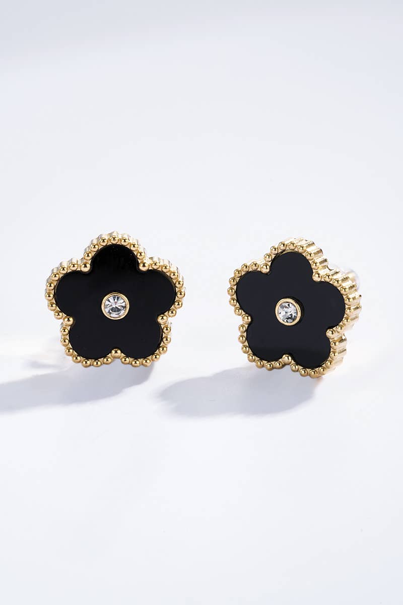 Stainless steel earrings: Silver